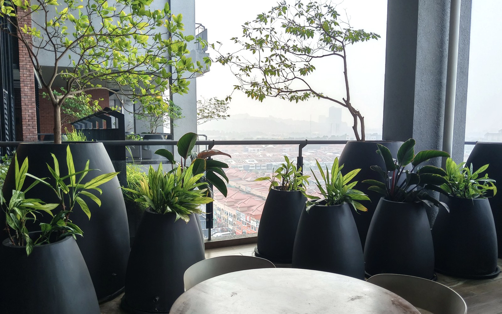 CY 所在大楼公共露台的绿意与城市远景